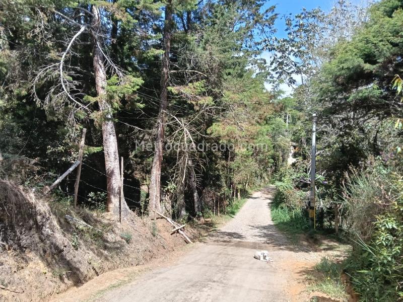 Lote en Venta, SANTA ELENA, Medellín - Vista 2