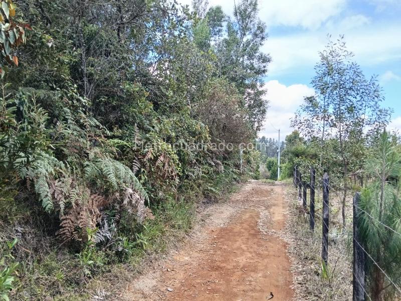 Lote en Venta, SANTA ELENA, Medellín - Vista 5
