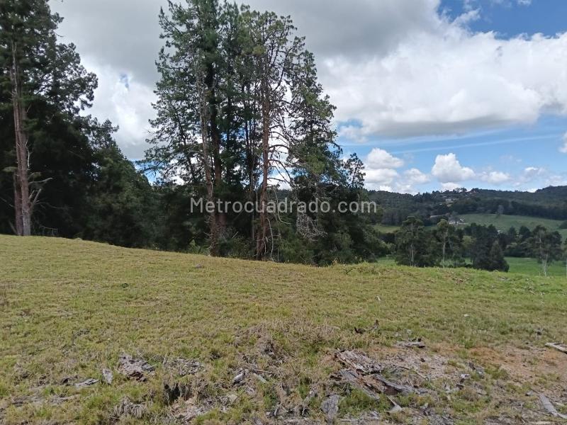 Lote en Venta, La acuarela, Envigado - Vista 5