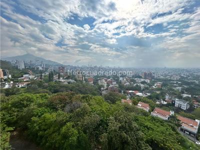 Apartamento de 3 alcobas en venta en Cristales, Cali, 122 m² · foto 18 de 20