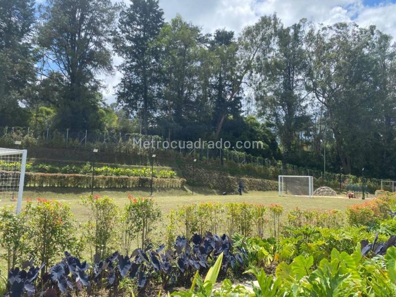 Apartamento en Arriendo, Sajonia, Rionegro - 5