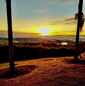 Finca en Arriendo, Sajonia, Rionegro