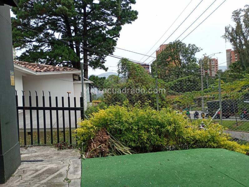 Local Comercial en Arriendo, Los Balsos, Medellín - Vista 2