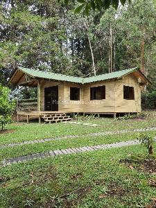 House for rent in Sajonia, Rionegro