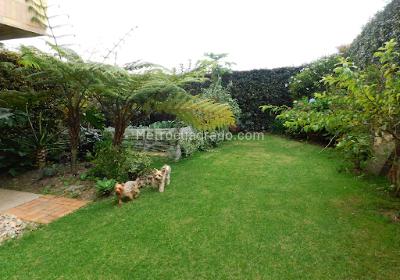 Casa de 3 alcobas en venta en Chia, Chía, 339 m² · foto 5 de 20