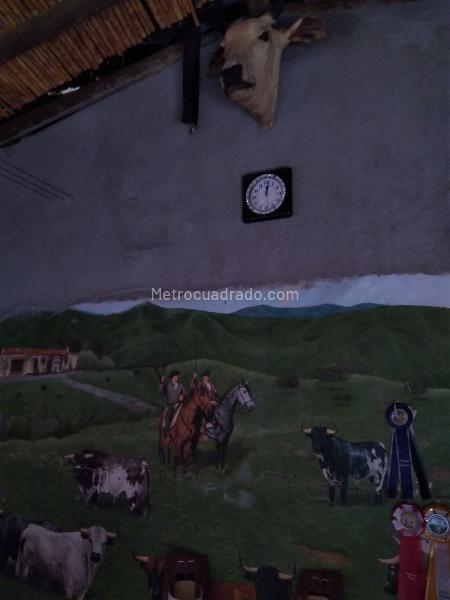 2BR Finca in vereda portachuelo (20000 m²) - 3