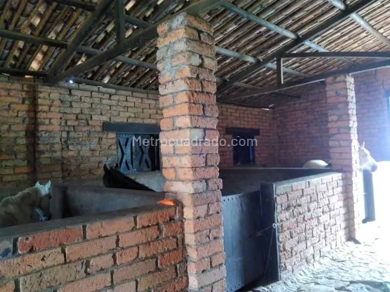 2BR Finca in vereda portachuelo (20000 m²) - 4