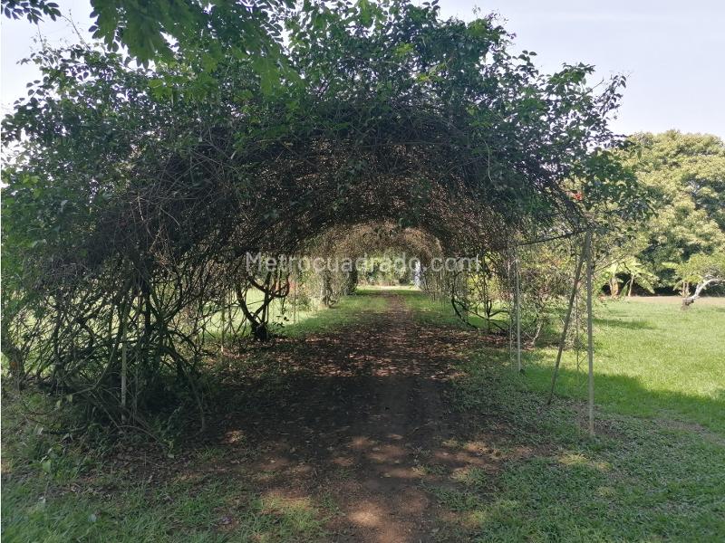 Lote en Venta, Kachipay, Cali - Vista 4