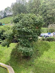 Apartamento de 2 alcobas en arriendo en El Poblado Loma Del Indio, Medellín, 60 m² · foto 6 de 17