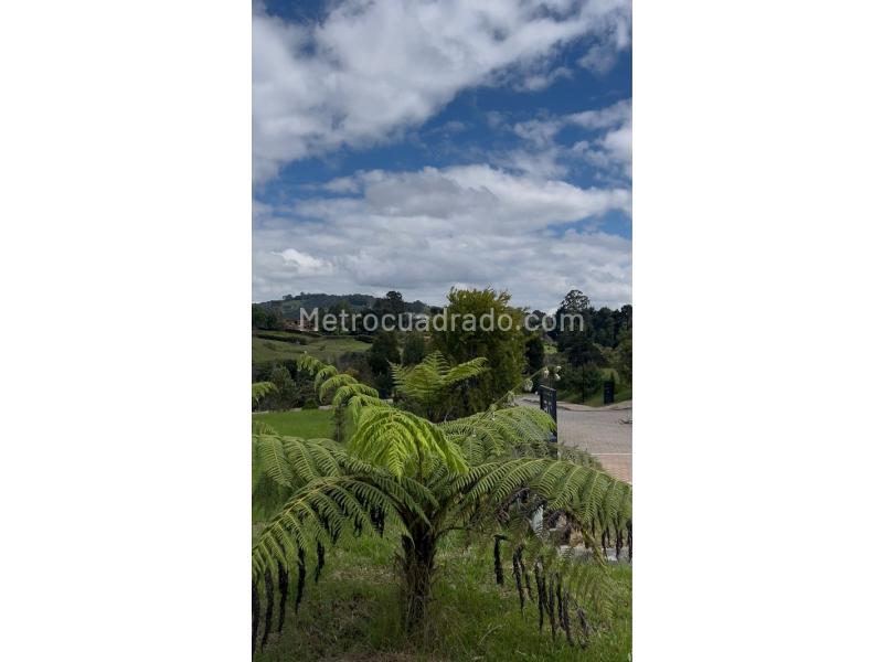 Lote en Venta, Las Palmas, Medellín - Vista 5