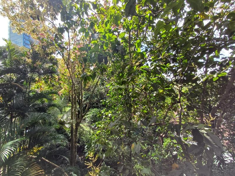 Apartamento de 3 Alcobas en Arriendo en Manila, El Poblado (90 m²) - 3