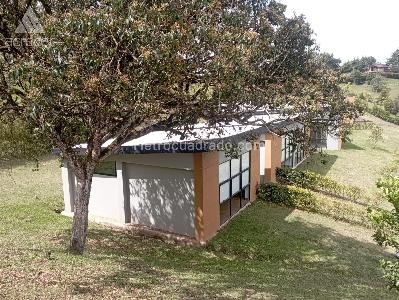 $9.000.000 en Rionegro