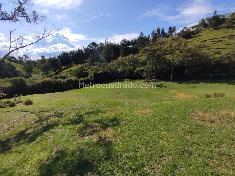 Casa en Arriendo, Rionegro, Rionegro - 3