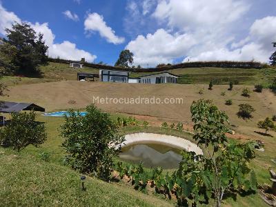 $15.000.000 en Rionegro