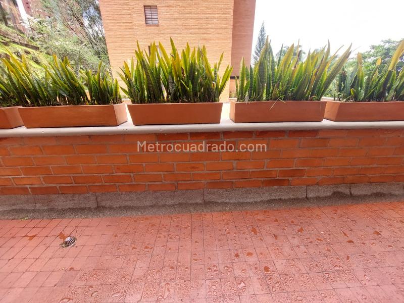 Charming 2BR Apartment in Exclusive Loma Del Indio - 5