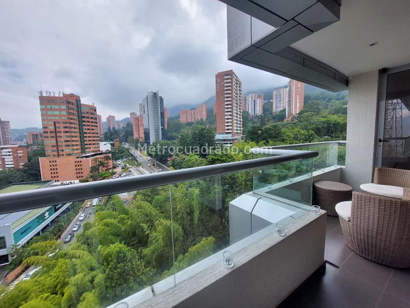 Stylish 1BR Studio in El Tesoro with Gym - 5