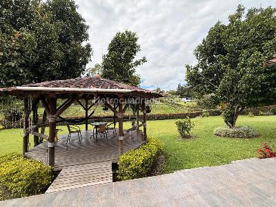 $9.800.000 en Rionegro