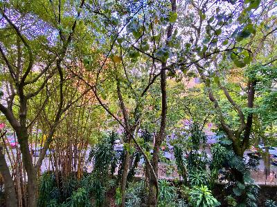 Apartamento en arriendo en Milla De Oro, Medellín · foto 20 de 24