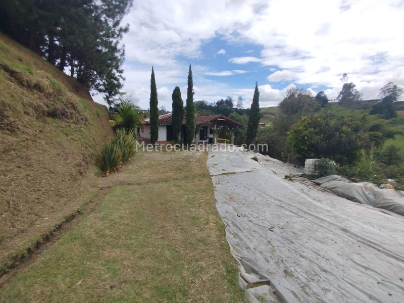 Finca en Arriendo, Rionegro, Rionegro - Widok 2