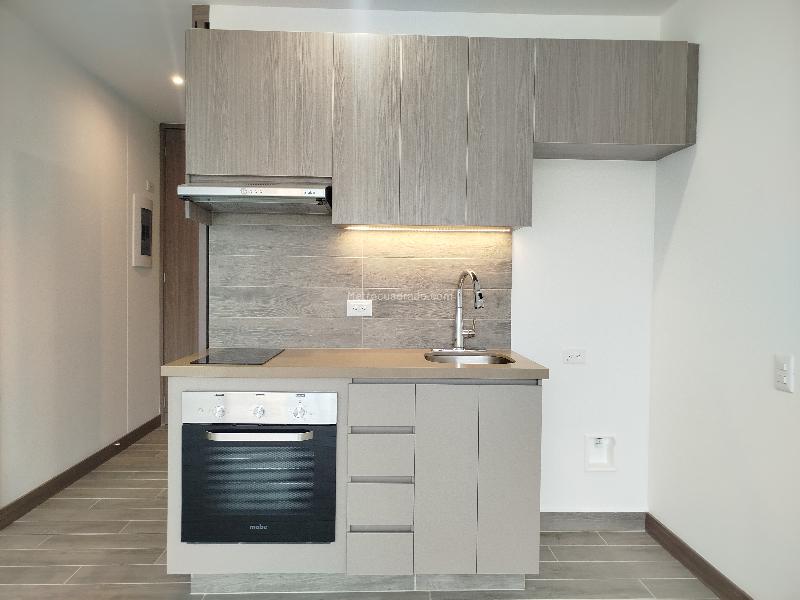 Spacious 1BR Apartment in El Campestre - 4