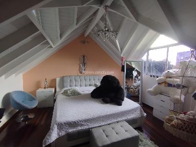 Casa de 4 alcobas en arriendo en Las Palmas M, Medellín, 323 m² · foto 14 de 20