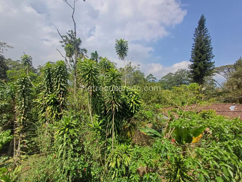 Casa versátil de 4 alcobas en Transversal Intermedia, El Poblado
