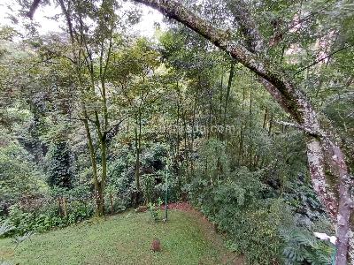 Casa de 4 alcobas en arriendo en Transversal Inferior, Medellín, 260 m² · foto 10 de 20