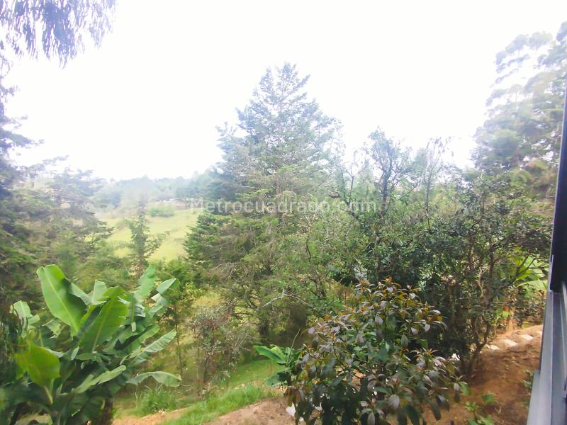 Casa – Rionegro - Vista 4