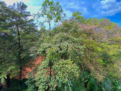 Apartamento en venta en Vizcaya, Medellín · foto 19 de 19