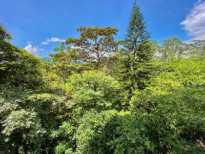 Apartamento de 3 alcobas en arriendo en La Frontera M, Medellín, 145 m² · foto 7 de 20