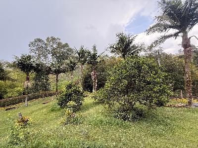 Casa de 3 alcobas en arriendo en Rionegro, Rionegro · foto 7 de 20