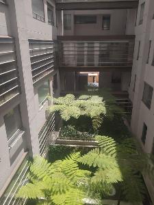 Apartamento de 3 alcobas en venta en Chico Centro, Bogotá, 171 m² · foto 15 de 17