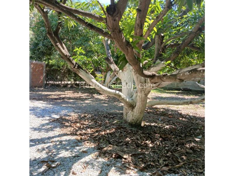 Lote en Venta, Rodadero, Santa Marta - Vista 4