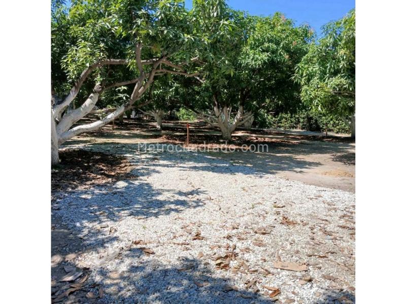 Lote en Venta, Rodadero, Santa Marta - Vista 5