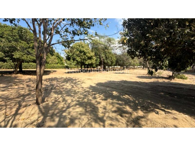 Lote en Venta, La Paz, Santa Marta - Vista 3