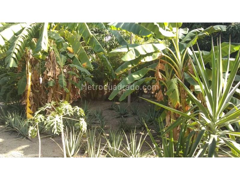 Lote en Venta, Aeromar, Santa Marta - Vista 2