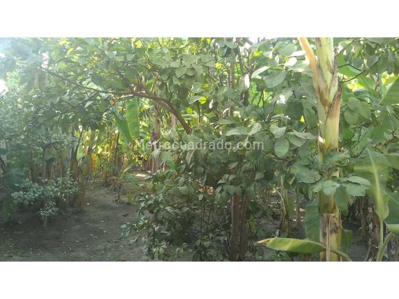Lote en Venta, Aeromar, Santa Marta - Vista 4
