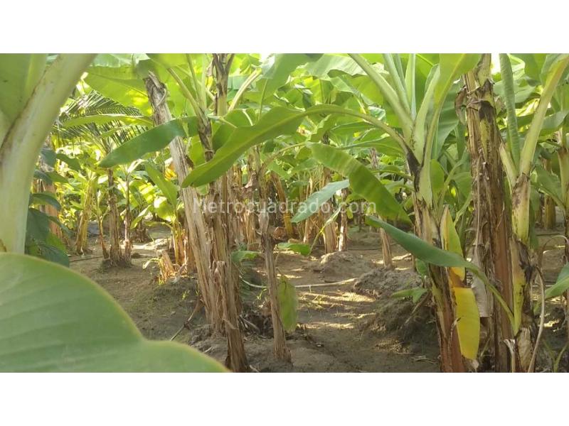 Lote en Venta, Aeromar, Santa Marta - Más