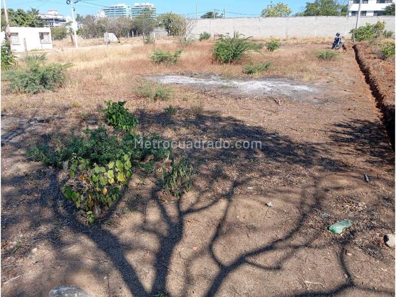 Lote en Venta, Vista Hermosa Sector Bello Horizonte, Santa Marta - Vista 3