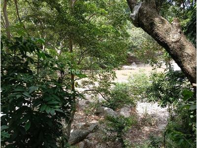 Casa en venta en Sector Parque Tayrona, Santa Marta · foto 10 de 20