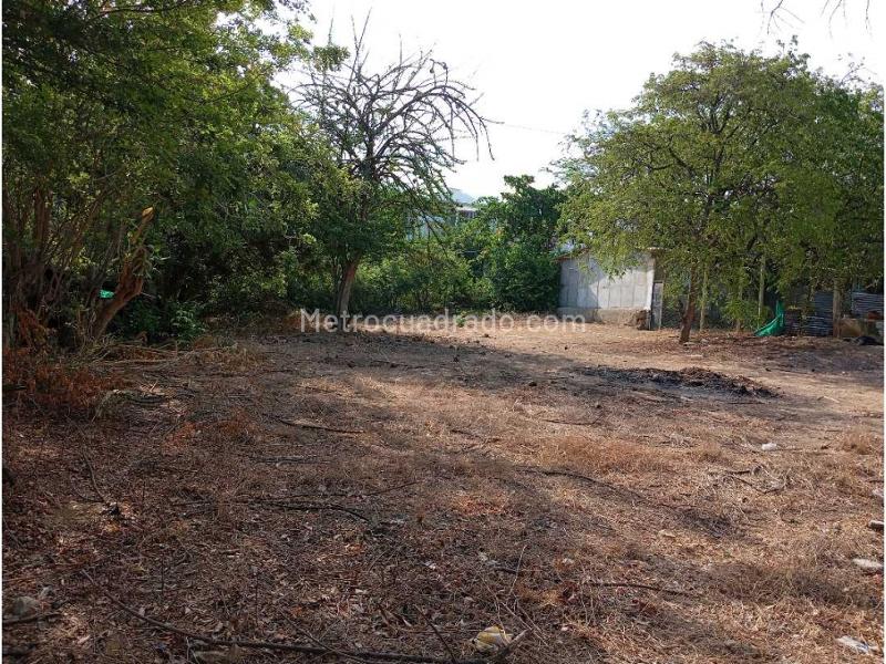 Lote en Venta, La Paz, Santa Marta - Vista 4