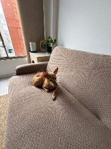 Apartamento en venta en La Castellana, Bogotá · foto 4 de 16