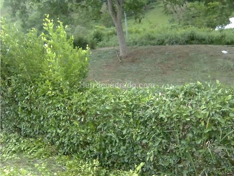 Lote en Venta, Kilometro 47, Manizales - Vista 3
