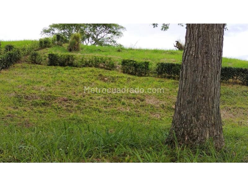 Lote en Venta, Kilometro 47, Manizales - Vista 5