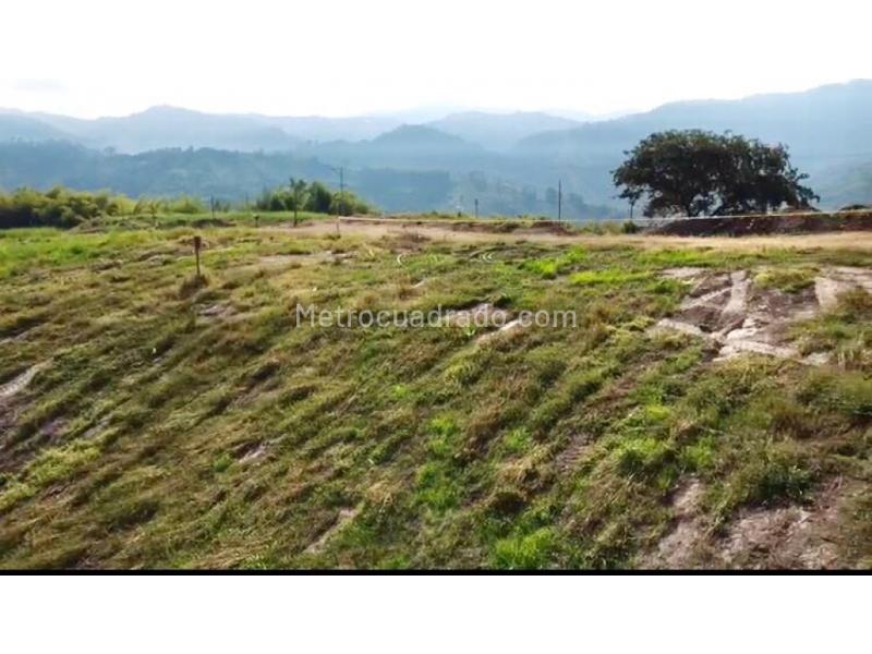 Lote en Venta, La Trinidad, Manizales - Vista 2