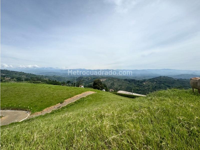 Lote en Venta, La Cabaña, Manizales - Vista 5