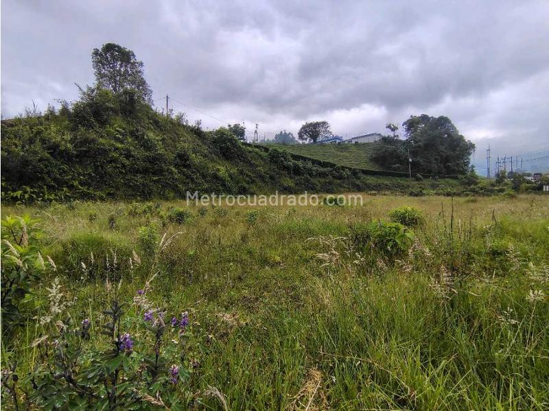 Lote en Venta, La Uribe, Manizales - Vista 5