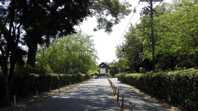 Casa – Jamundí, Campos de Pangola - Más