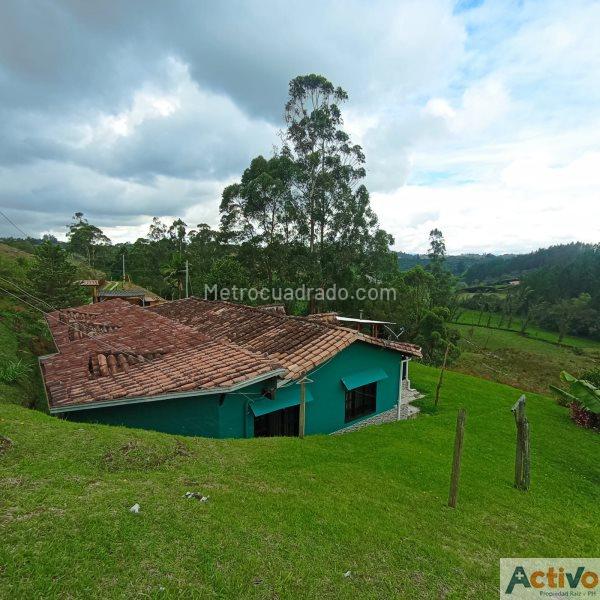 4BR Finca in Vereda La Laja (2000 m²) - 5