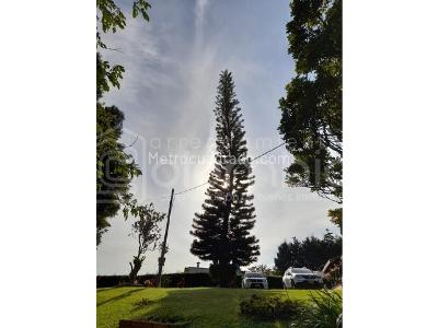 Casa de 4 alcobas en venta en Vereda San Luis, Rionegro · foto 4 de 20